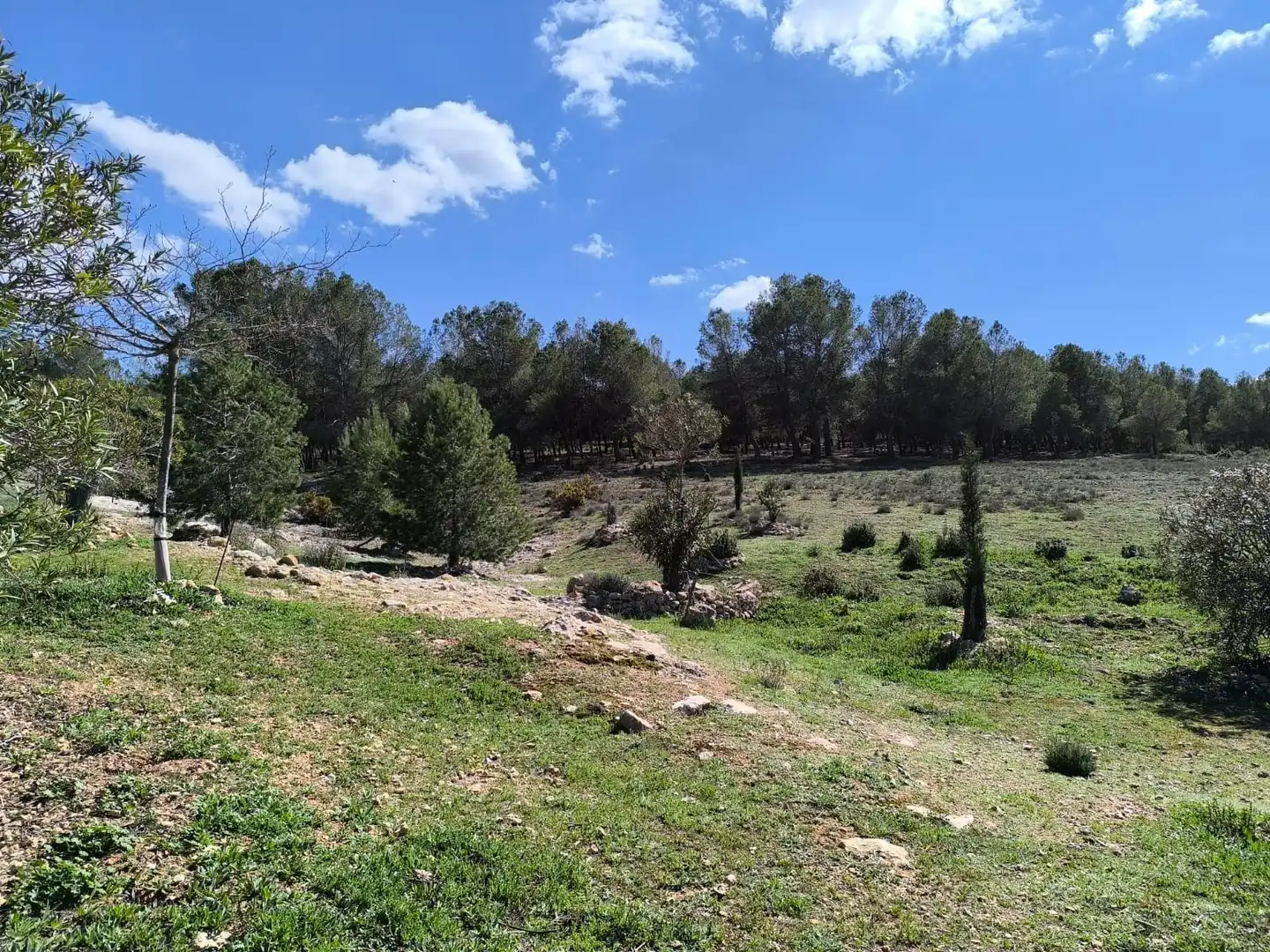 Casa rustica in vendita a Campo de Mirra / El Camp de Mirra, imagen 5