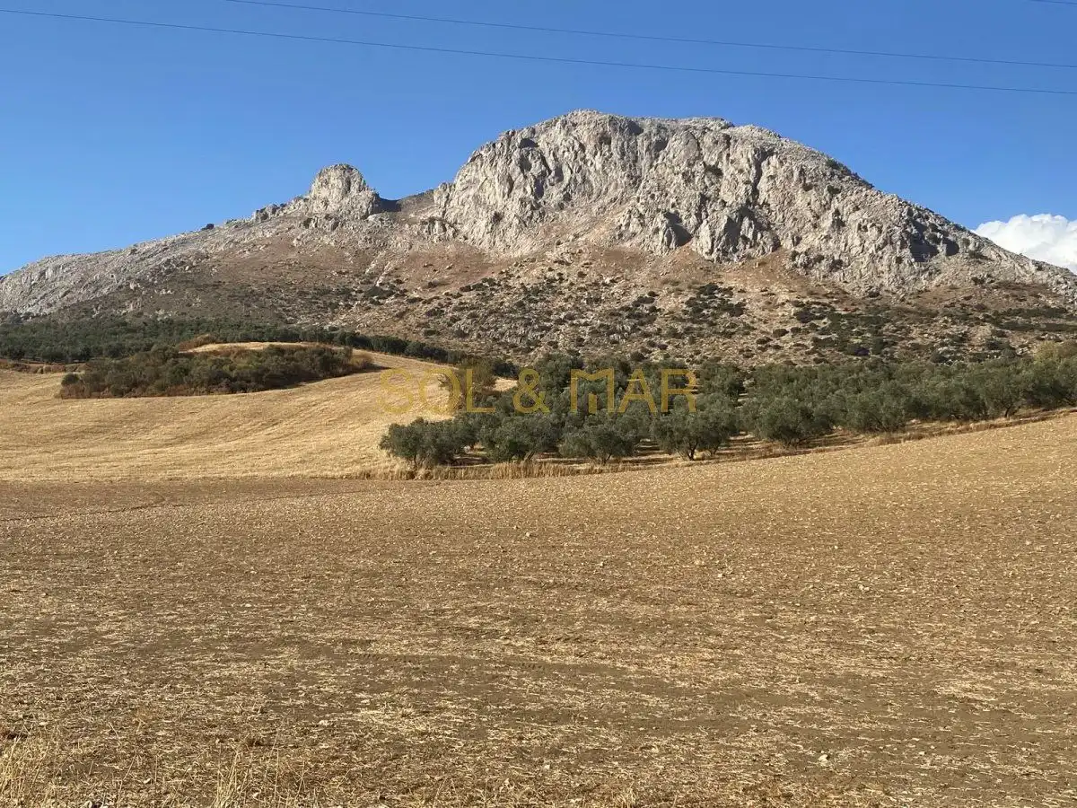 Finca rústica en venda en Antequera