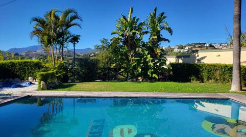 Foto 4 de Finca rústica en venda a San Pedro de Alcántara pueblo, Marbella