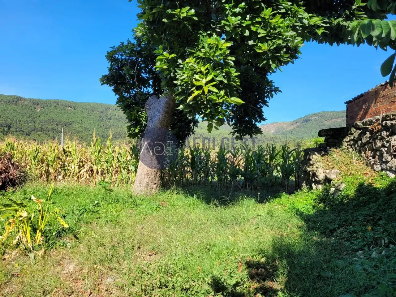 Terrenys i solars en venda a Lugar a Granxa