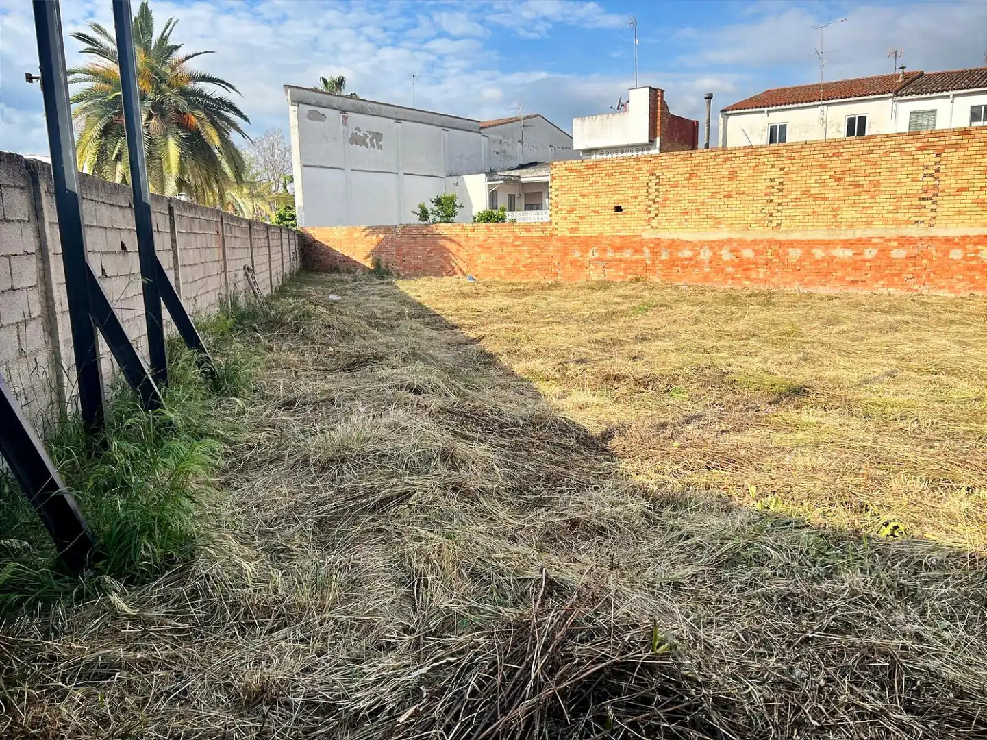 Terreny rústic en venda a Benigánim - Avenida de Vicente Boluda Palop, imagen 2