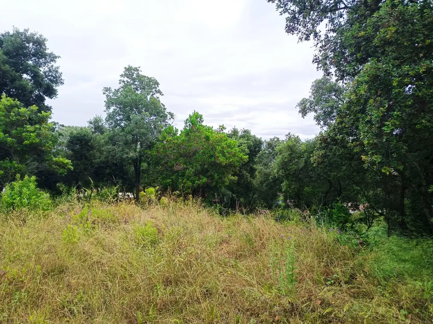 Lands and plots for sale in Llagostera, imagen 19
