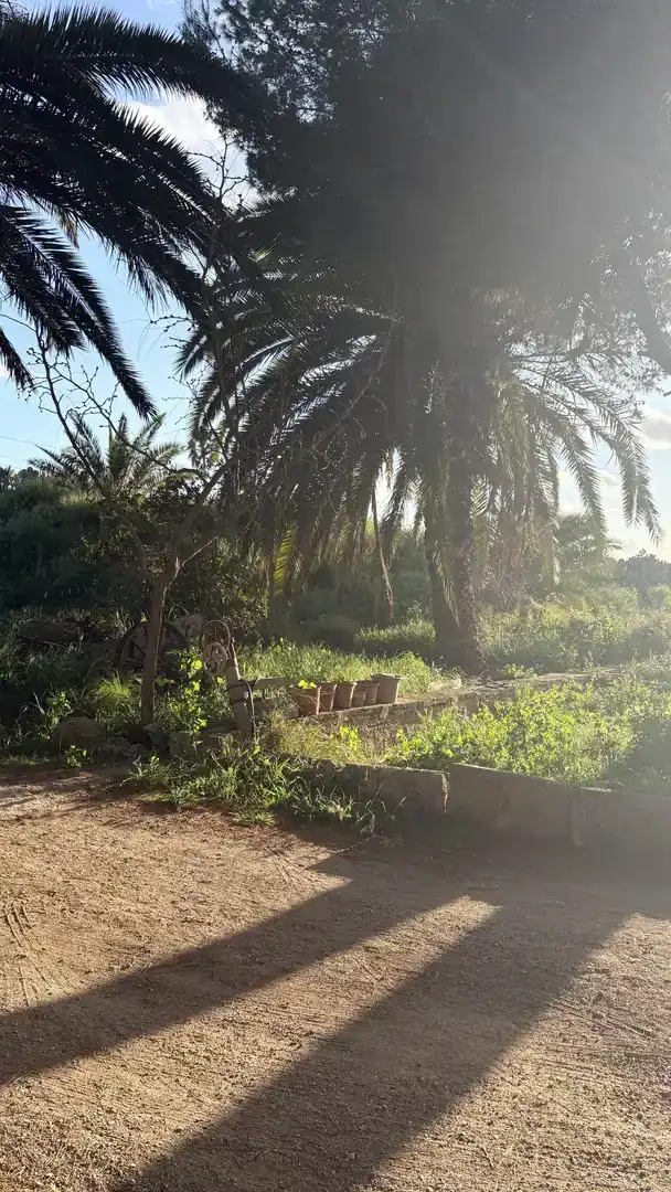 Habitació a Plaça de Cort, 1, Cort