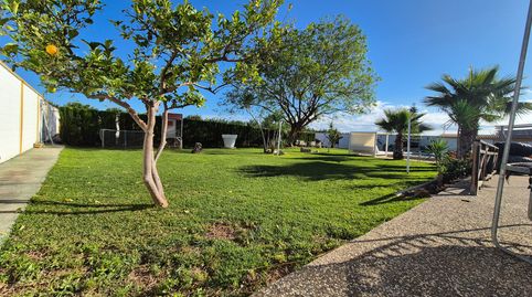Photo 2 of Houses for sale in Camino Betis, 2, Rinconada, La Rinconada