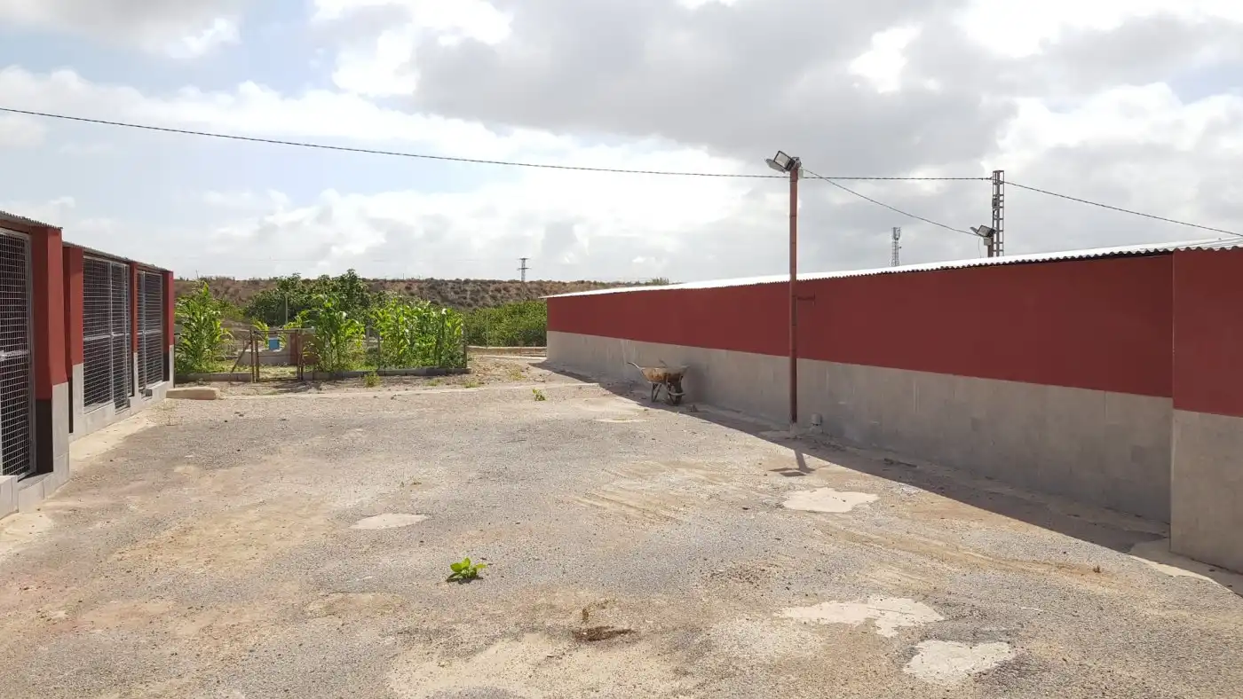 Country house for sale in Los Montesinos, imagen 13