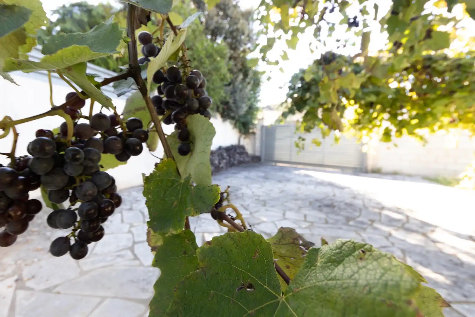 Vista exterior de Casa o xalet en venda en Mont-roig del Camp amb Calefacció, Jardí privat i Terrassa