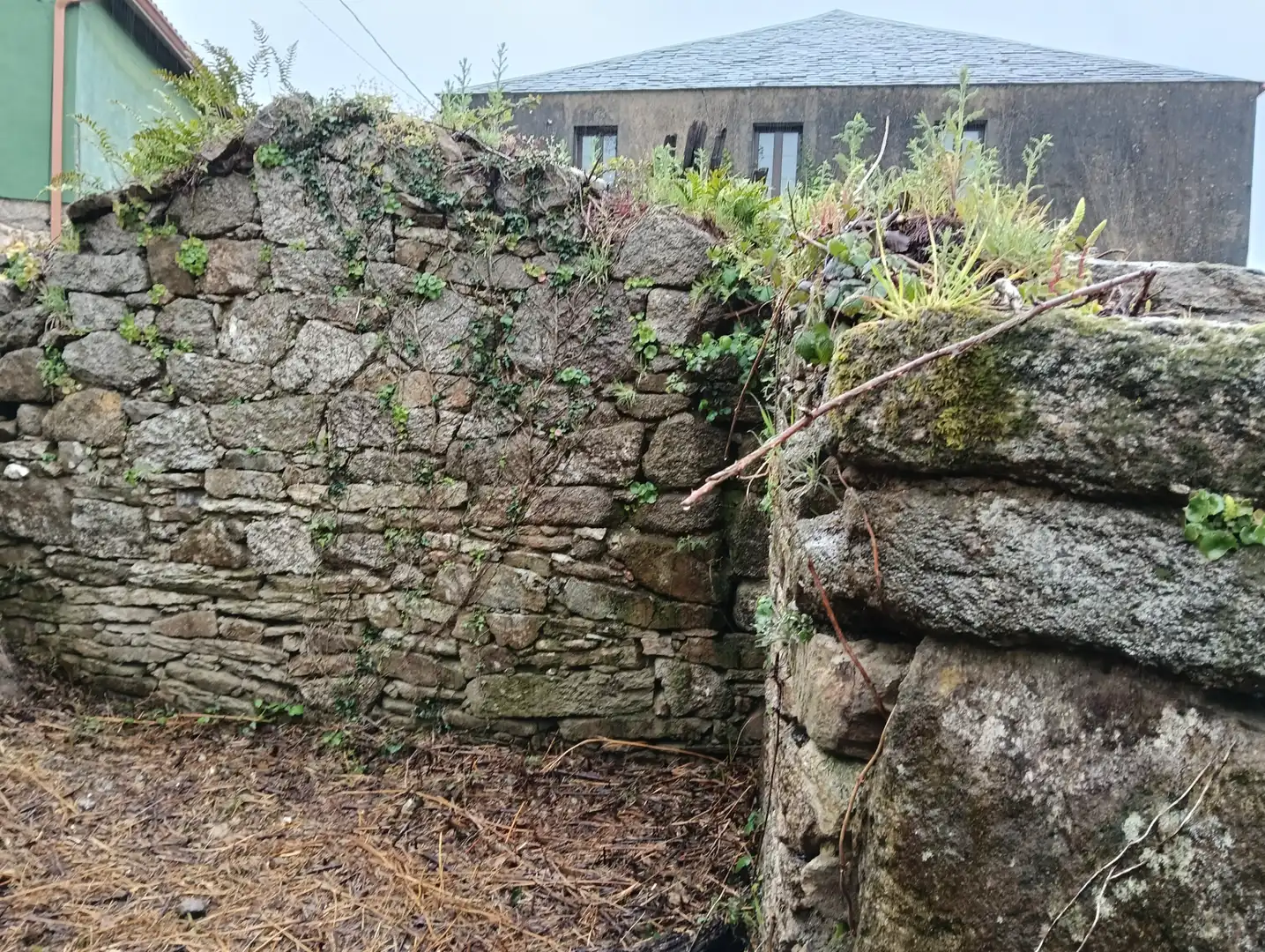Adossat amb jardí en venda a Curtis, imagen 25