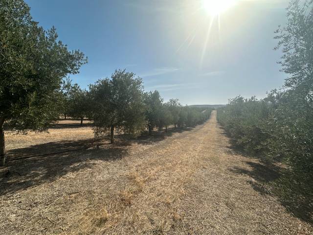 Terreno en Venta en N/A en Úbeda