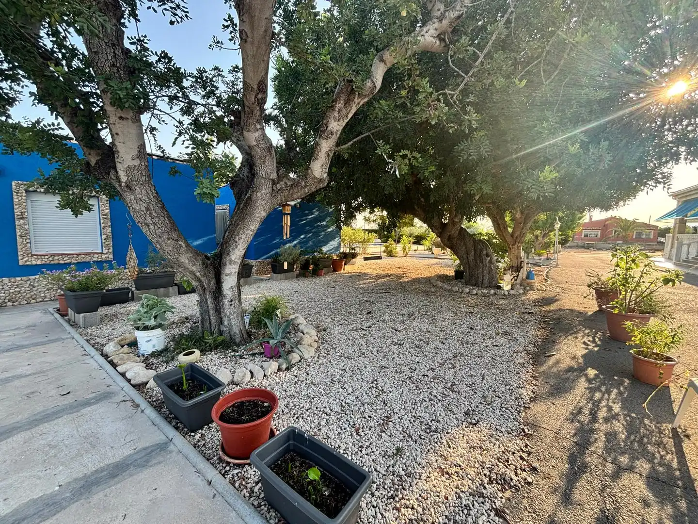 Vista exterior de Casa o chalet en venta en Elche / Elx con Aire acondicionado, Calefacción y Jardín privado