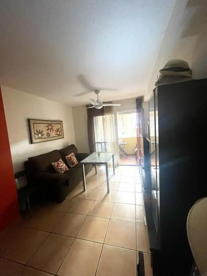 Living room of Flat for rent in Torrox  with Private garden, Swimming Pool and Furnished