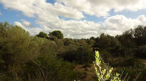 Foto 2 de Residencial en venda a Son Gual, Palma de Mallorca