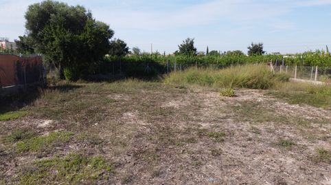 Foto 2 de Terreny en venda a Diseminado Carril Tites, 129, La Arboleja, Murcia Capital