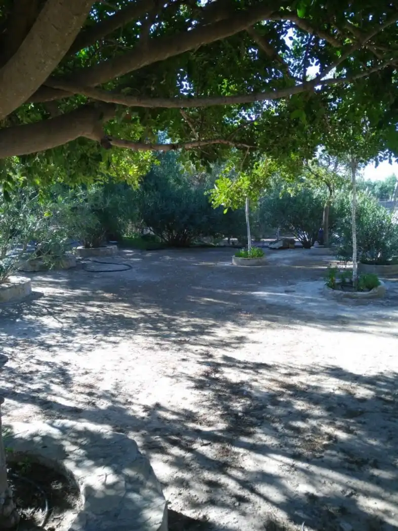 Garden of Country homes for sale in Lorca  with Air Conditioner, Heating and Private garden