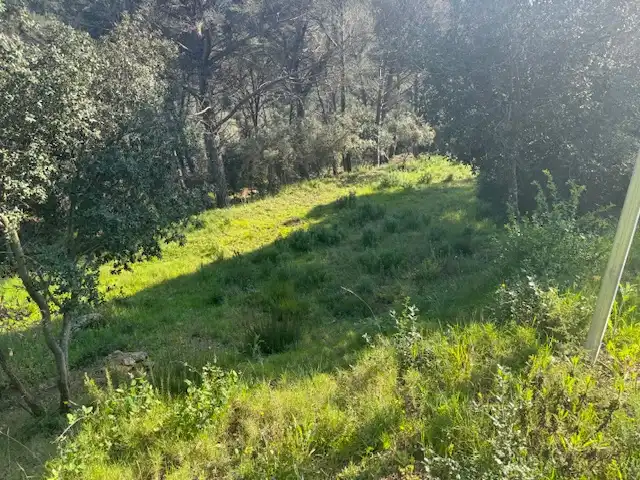 Residential land for sale in Ferrers, imagen 5