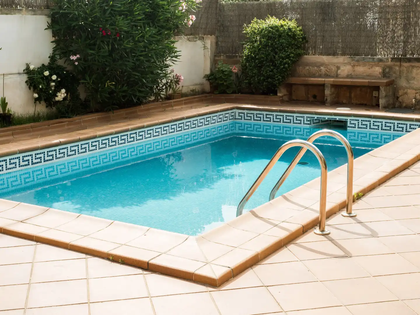 House with pool for sale in RECTOR VIVES 25, imagen 4