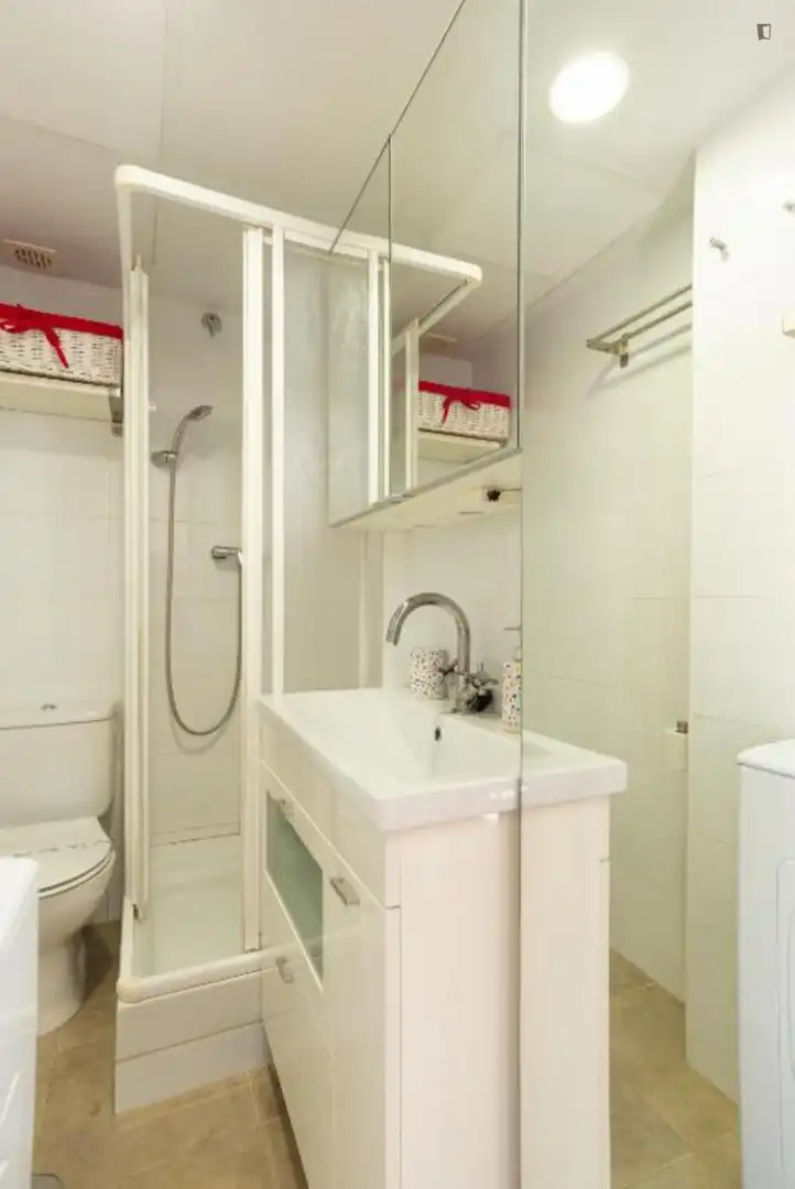 Home to rent in Centro, imagen 8