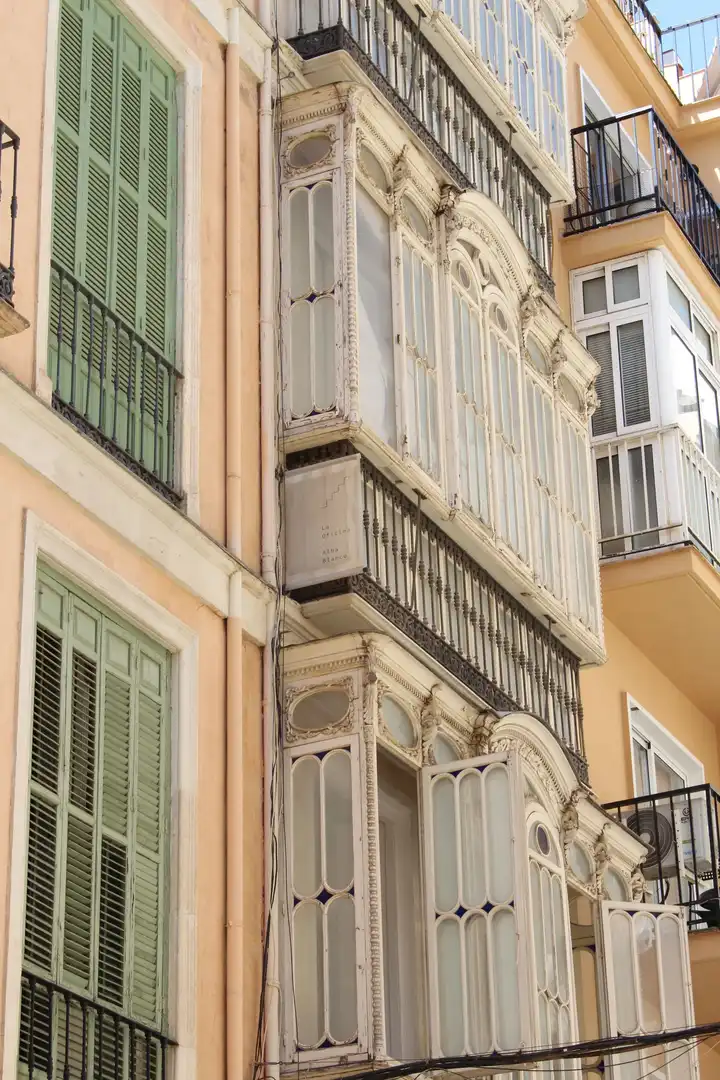 Inmuebles singulares en venta en Centro, imagen 4