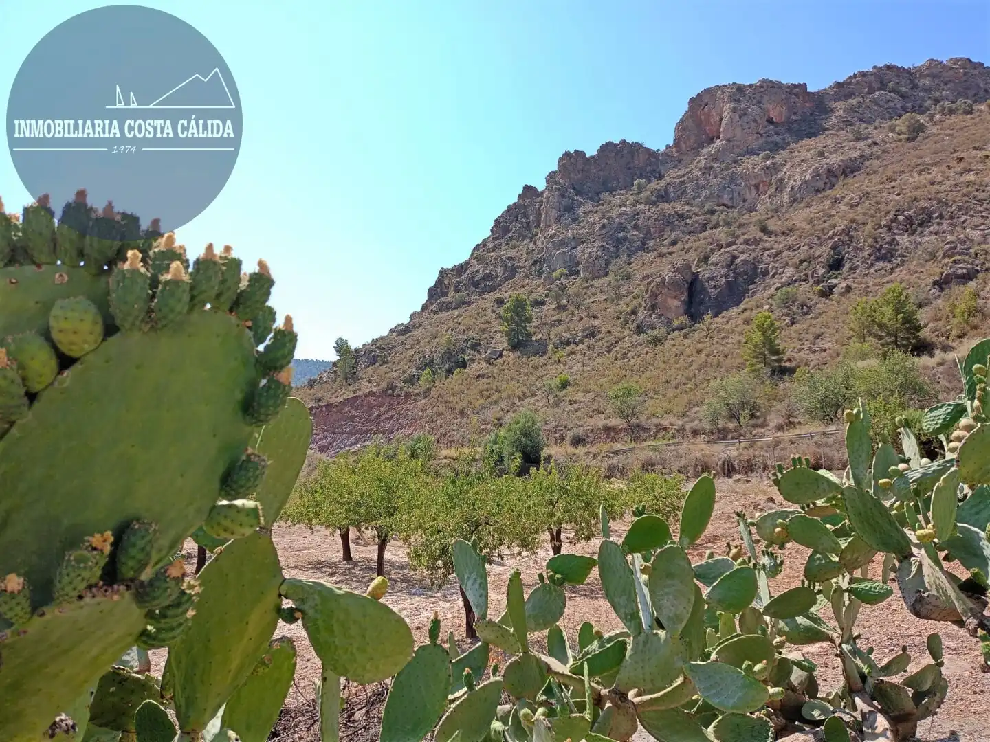 Finca rústica en venda en Águilas amb Jardí privat, Terrassa i Traster