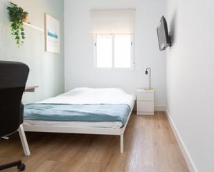 Apartment to share in Universidad San Francisco
