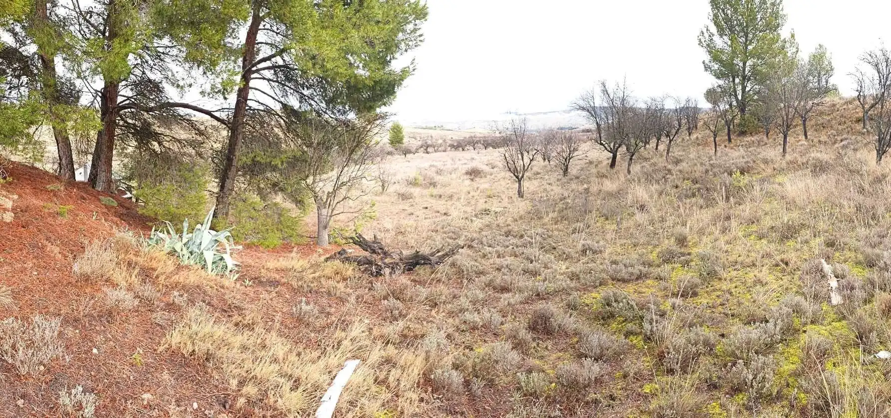 Terreno en venta en Maluenda