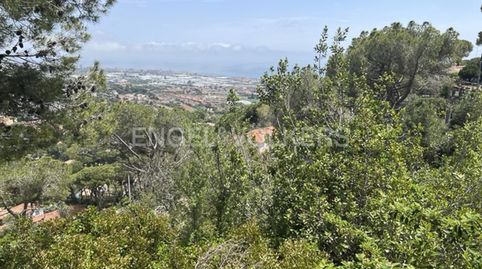 Terreno con espléndidas vistas, immagine 2