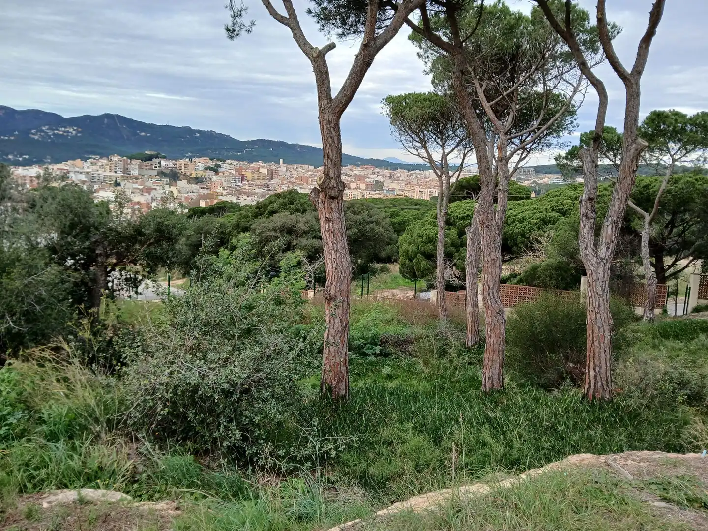 Terrenys i solars en venda a Francesc Macià 88