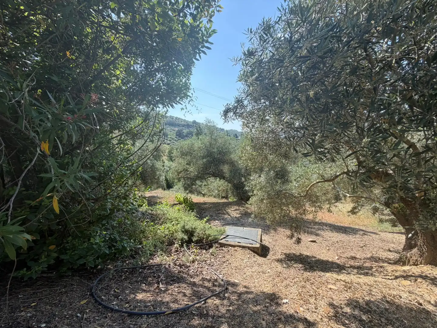 Finca rústica en venta en Los Villares con Terraza, Trastero y Piscina