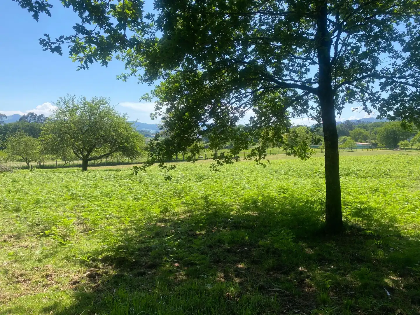 Casa o chalet en venta en A Estrada  con Calefacción