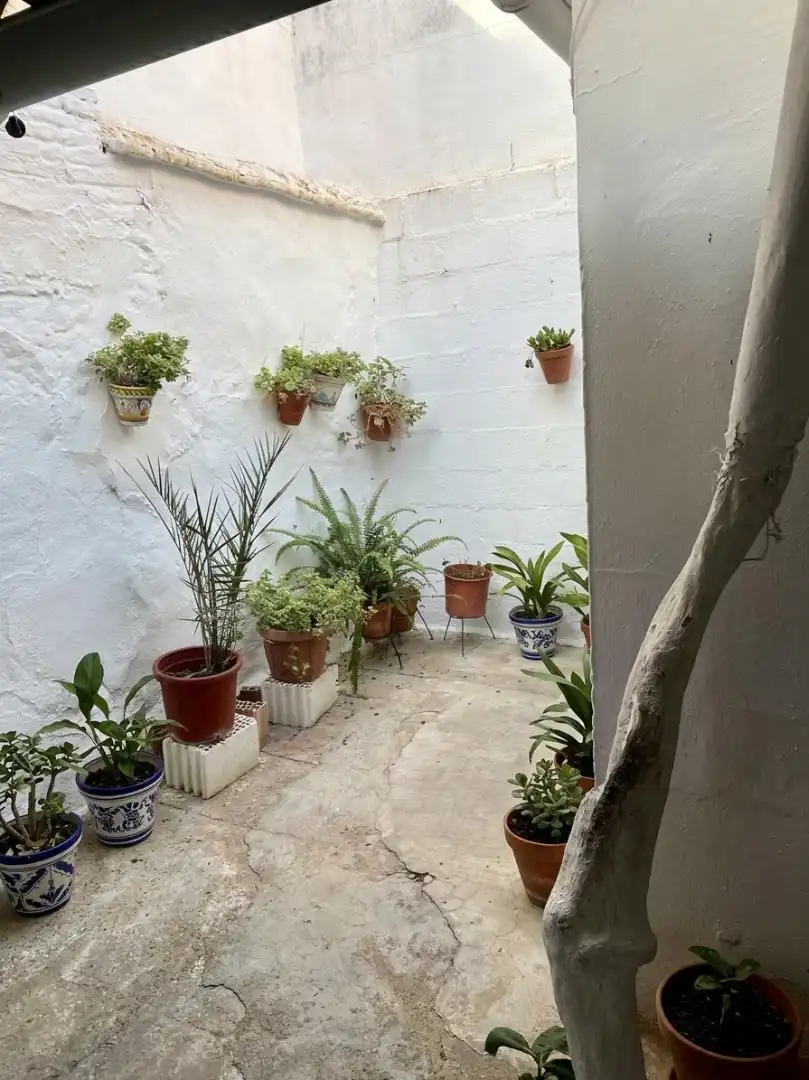 Casa amb terrassa en venda a Calle Fernandez de Santiago, imagen 25