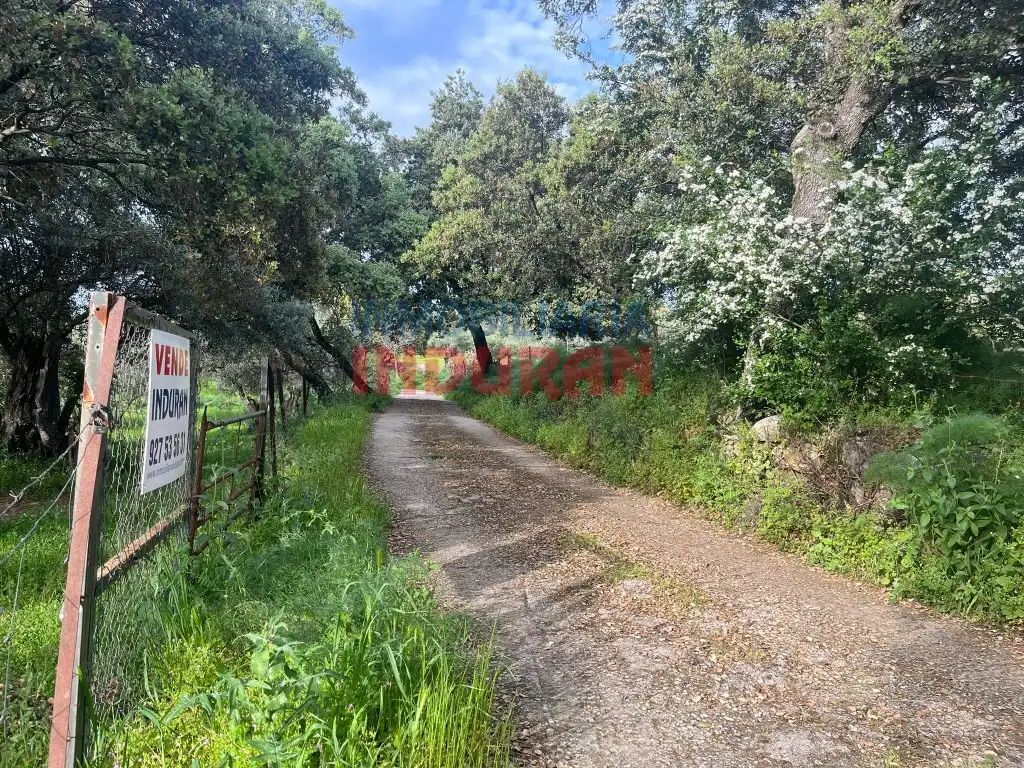 Finca rústica en venta en Millanes