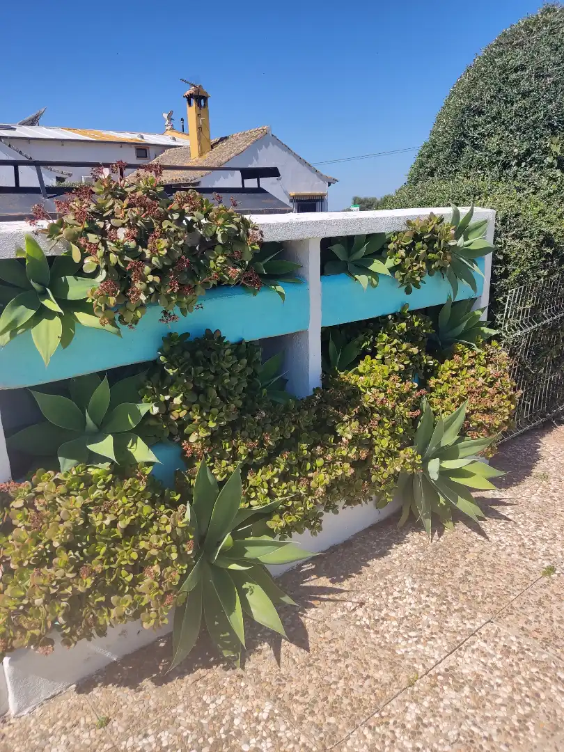 Jardí de Edifici en venda en Benalup-Casas Viejas amb Piscina comunitària