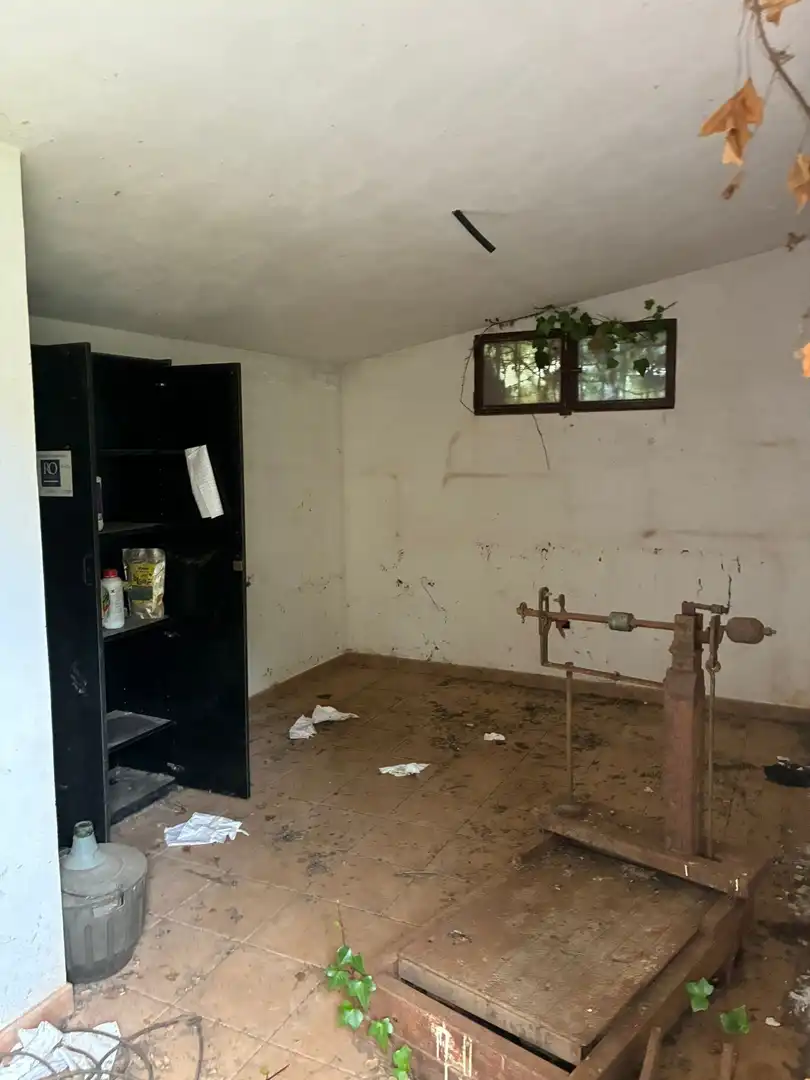 Terreny rústic en venda a El Sauzal, imagen 14