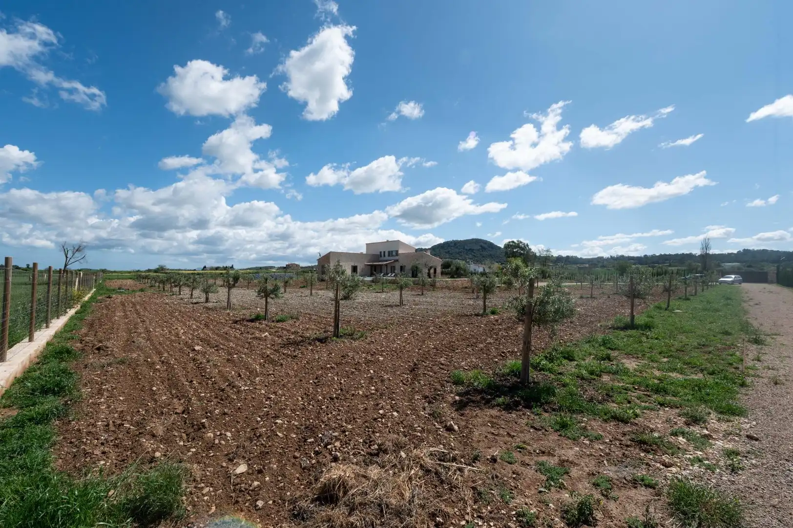 Maison rustique avec piscine à vendre à Sineu, imagen 39