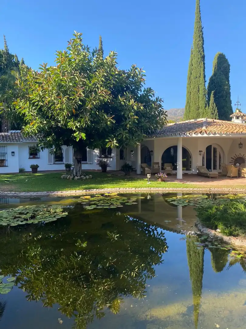 House with pool for sale in Milla de Oro