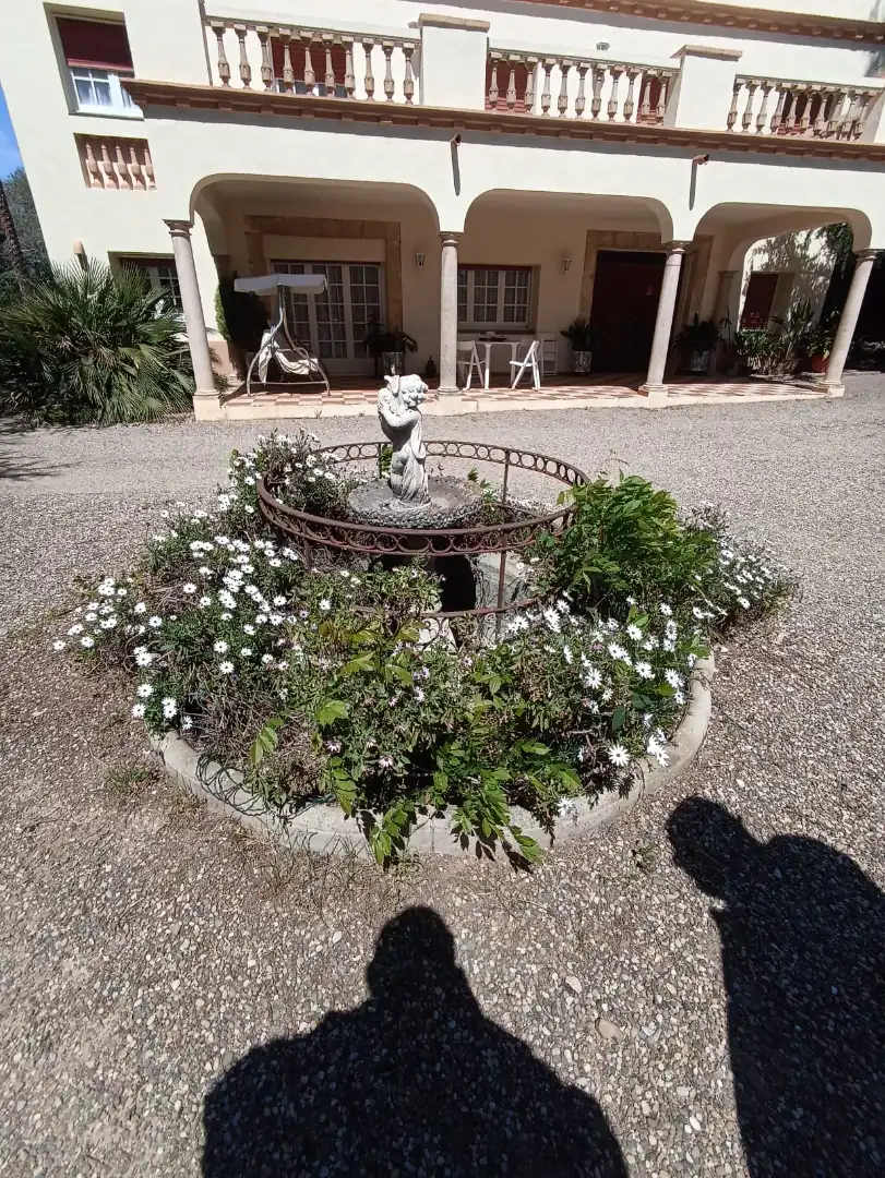 Rural land for sale in Carretera, imagen 44
