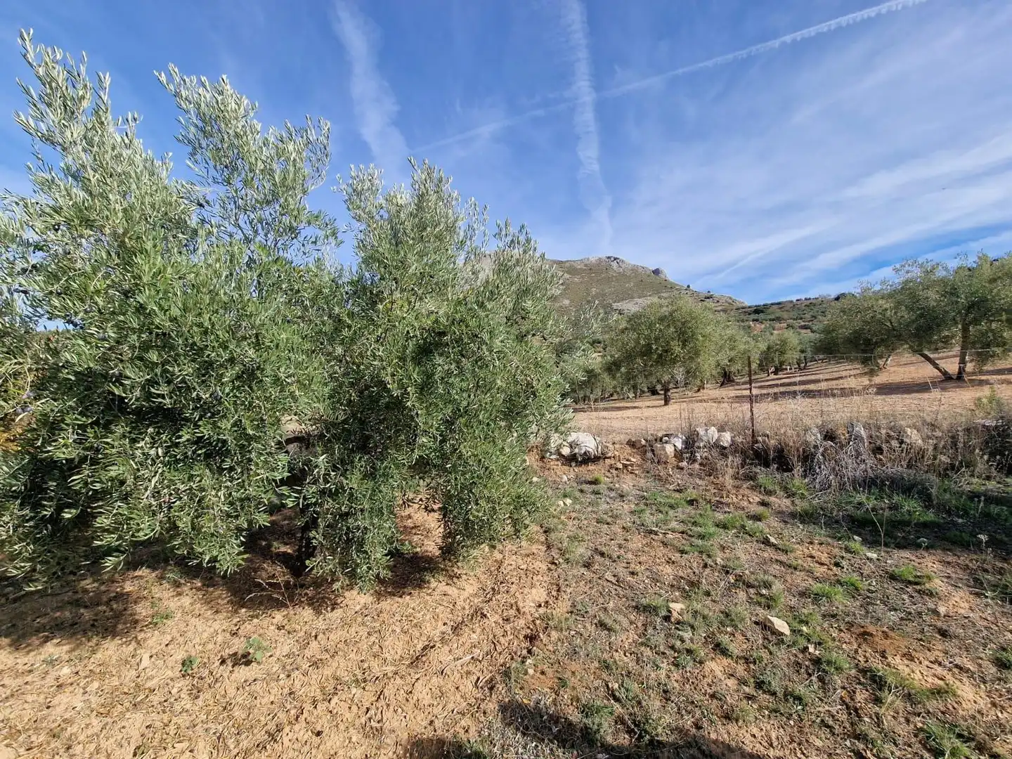 Maison rustique avec jardin à vendre à Cogollos de la Vega, imagen 49