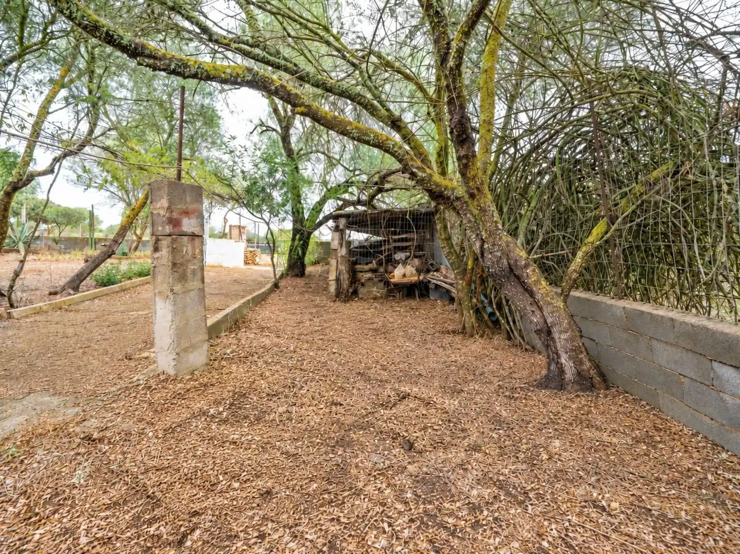 Casa rústica amb jardí en venda a Ctra Palma- Porto Petro, imagen 24