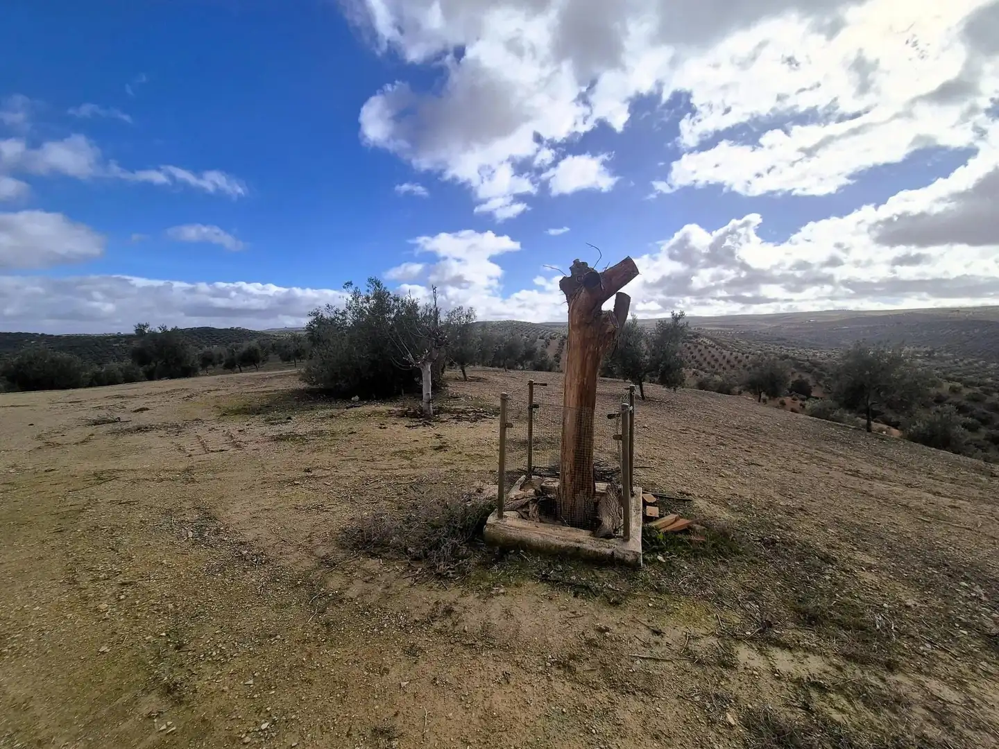 Terreno rústico en venta en Salar, imagen 12
