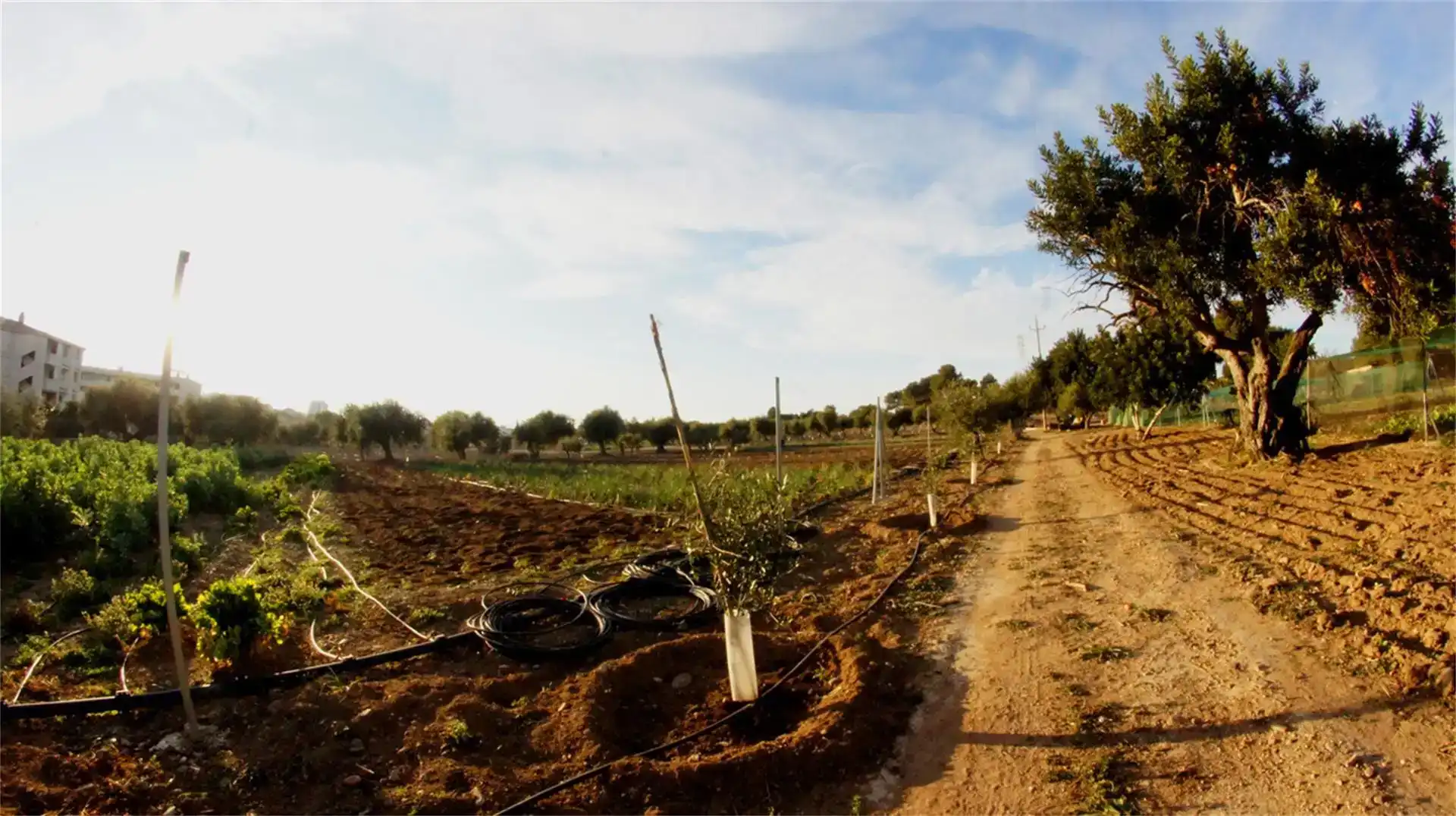 Garden of Land for sale in Cambrils