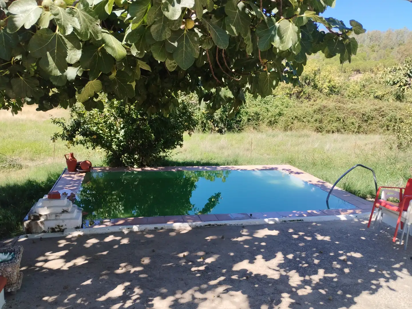 Country house with pool for sale in Zafra, imagen 6