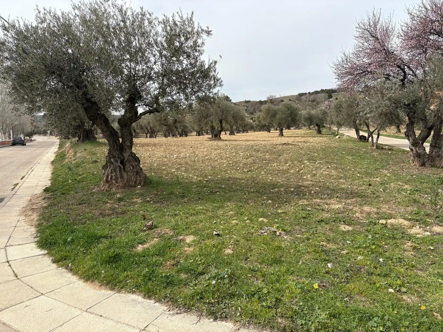 Terreno residencial en venta en Calle de Don Juan Carlos I 12, imagen 2