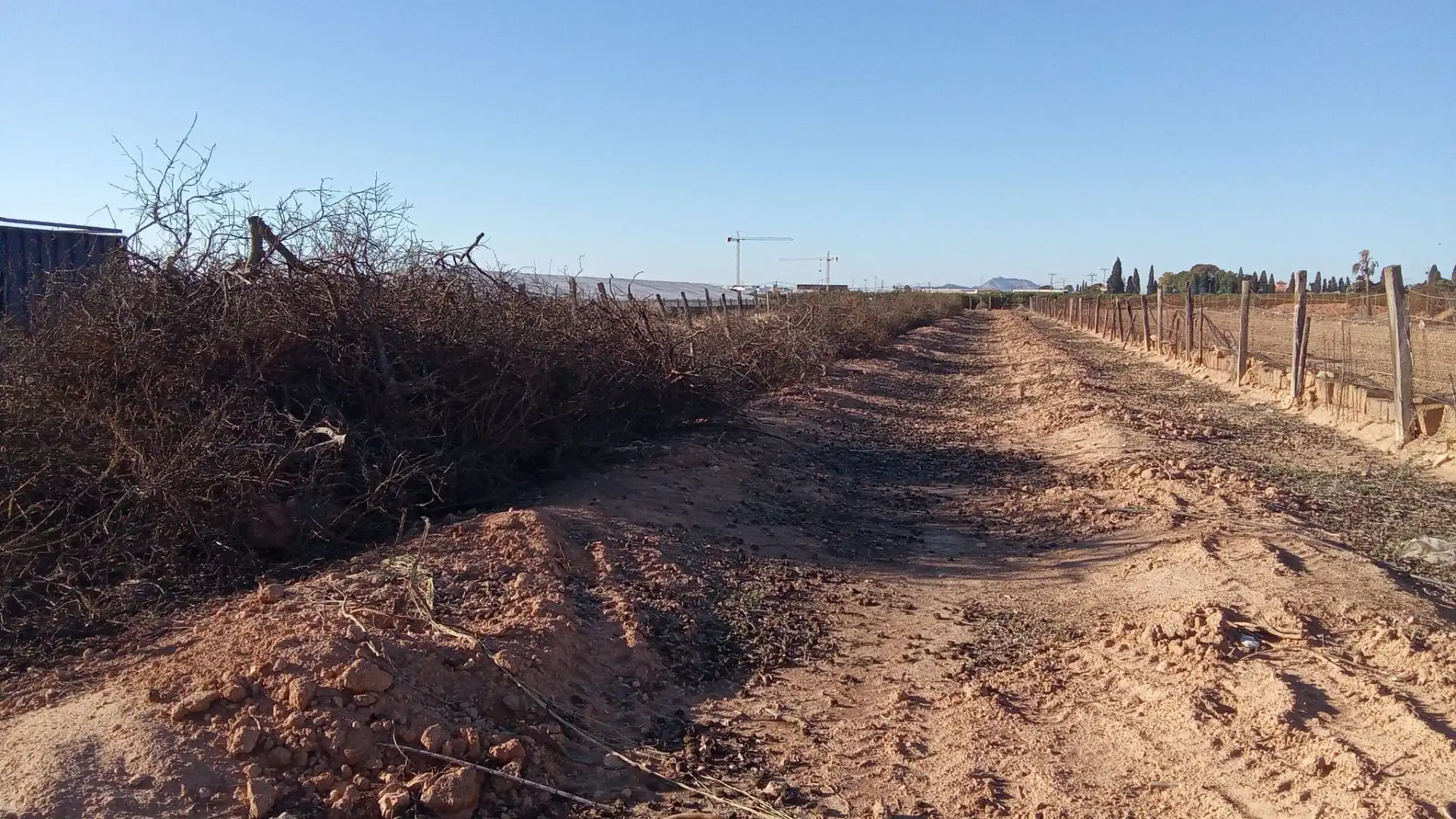 Terreno en venta en Pilar de la Horadada