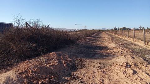 Photo 3 of Land for sale in Pilar de la Horadada ciudad, Alicante
