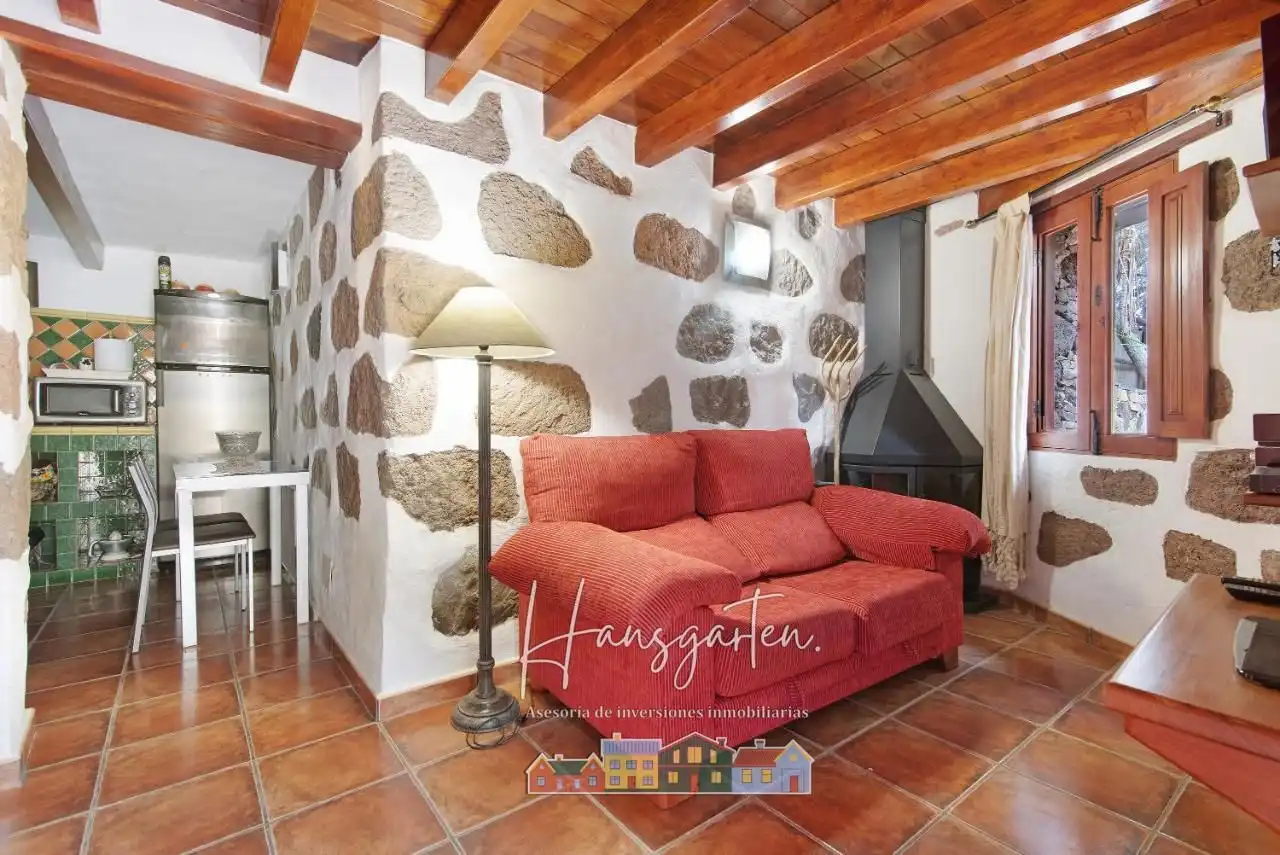 Sala d'estar de Finca rústica en venda en Tejeda amb Aire condicionat i Jardí privat