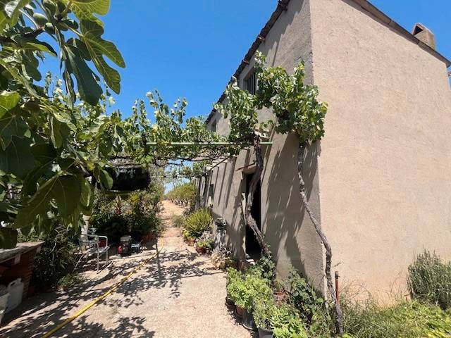 Finca rústica en Venta en Barberà de la Conca