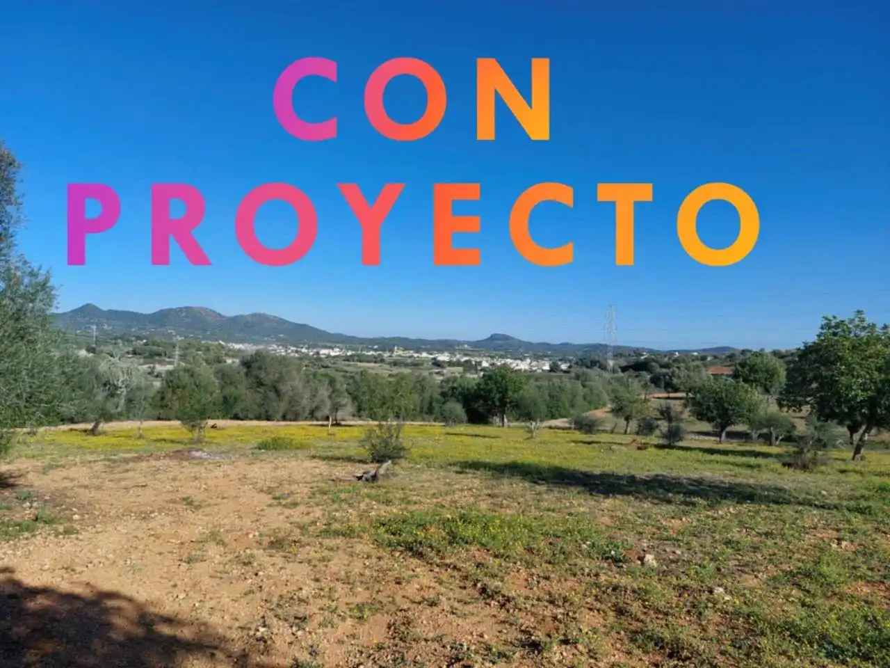 Rural land for sale in Poligono 5 723