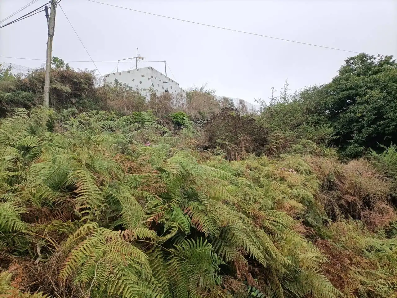 Terreno en venta en Los Realejos