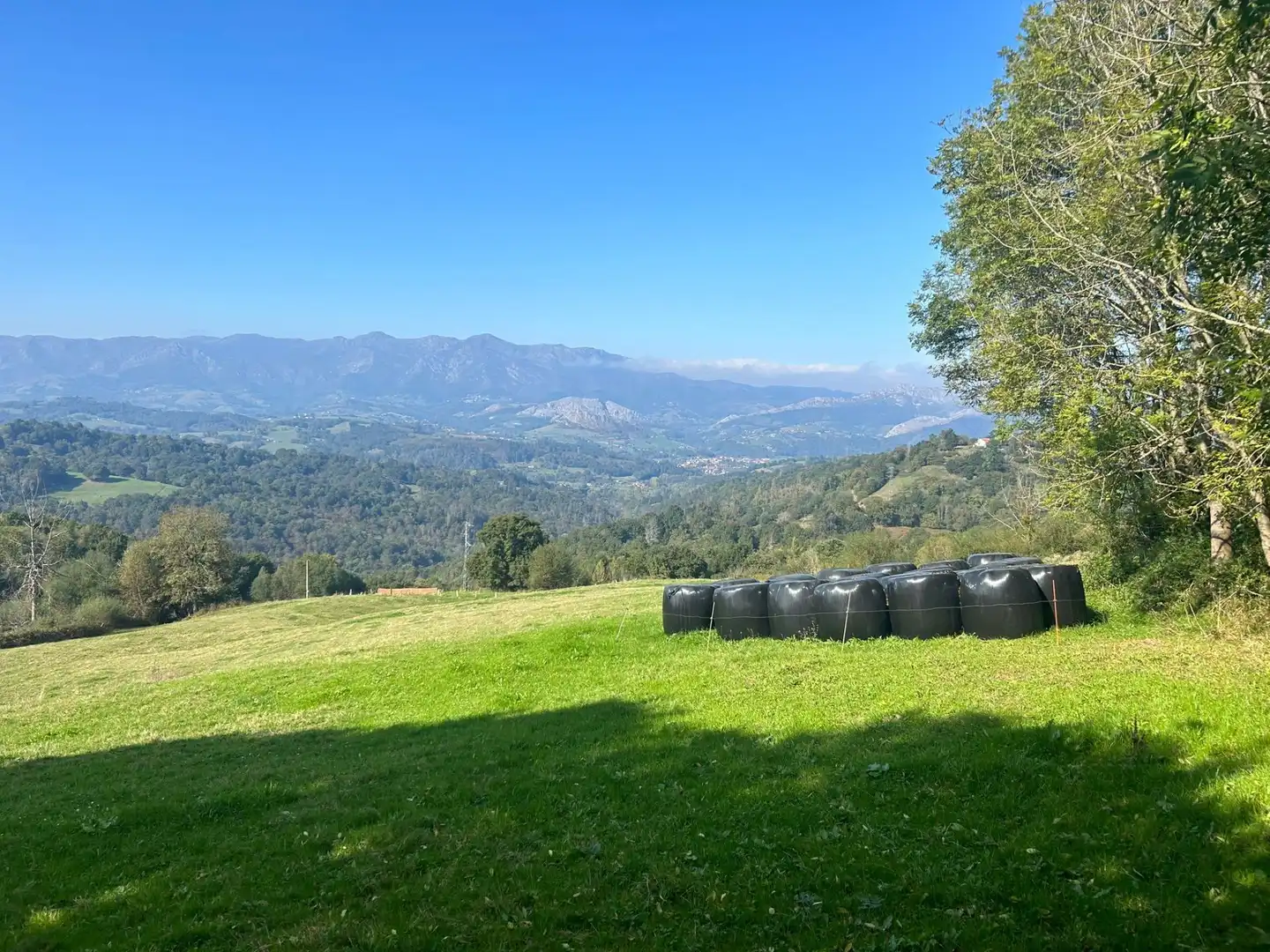 Terrenos y solares en venta en Parres, imagen 11