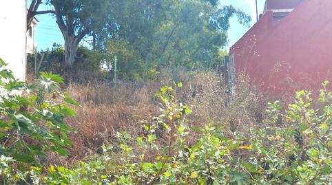 Foto 2 de Residencial en venda a Calle Acebuche, Monte Lentiscal - Las Meleguinas, Santa Brígida