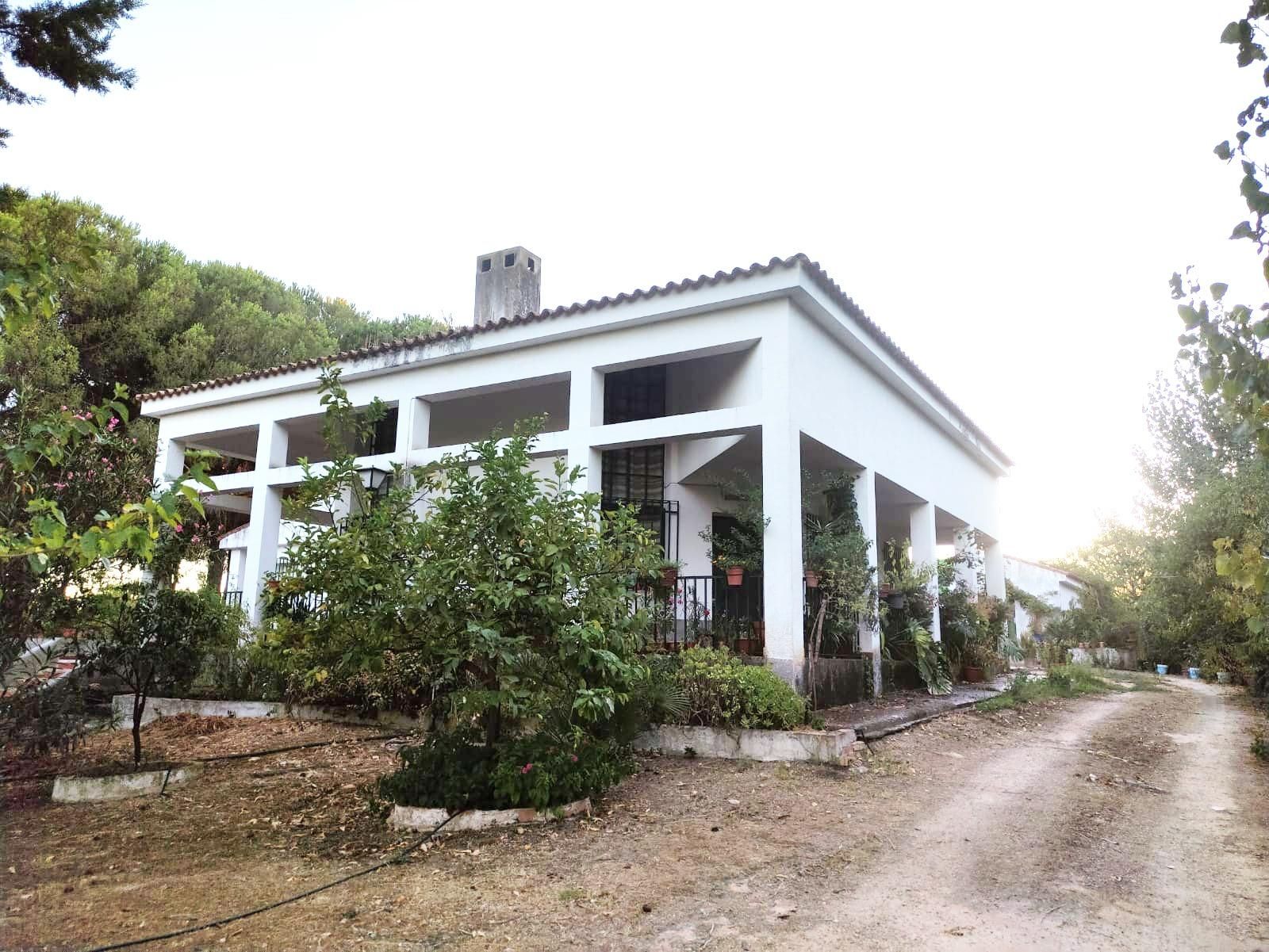 Exterior view of House or chalet for sale in Beas